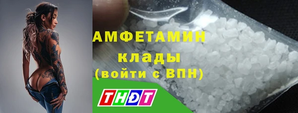 МДПВ Нея