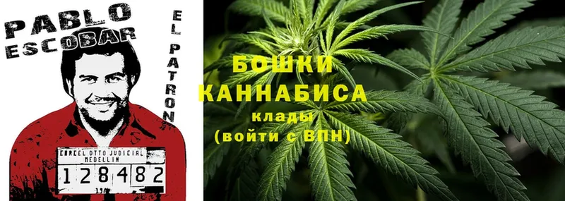 Бошки Шишки Ganja  Кедровый 